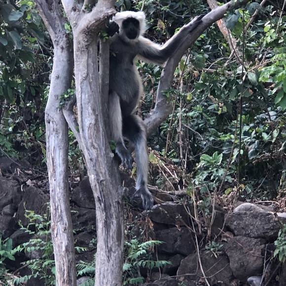 Meet your Posher, Erika - Picture 4 of 7